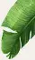 demo-travel-agency-tour-details-07.jpg