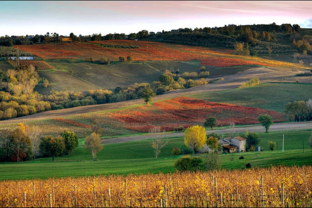 14_Cosa_vedere_a_-Montefalco_1-giorno_tra_arte_e_-Sagrantino